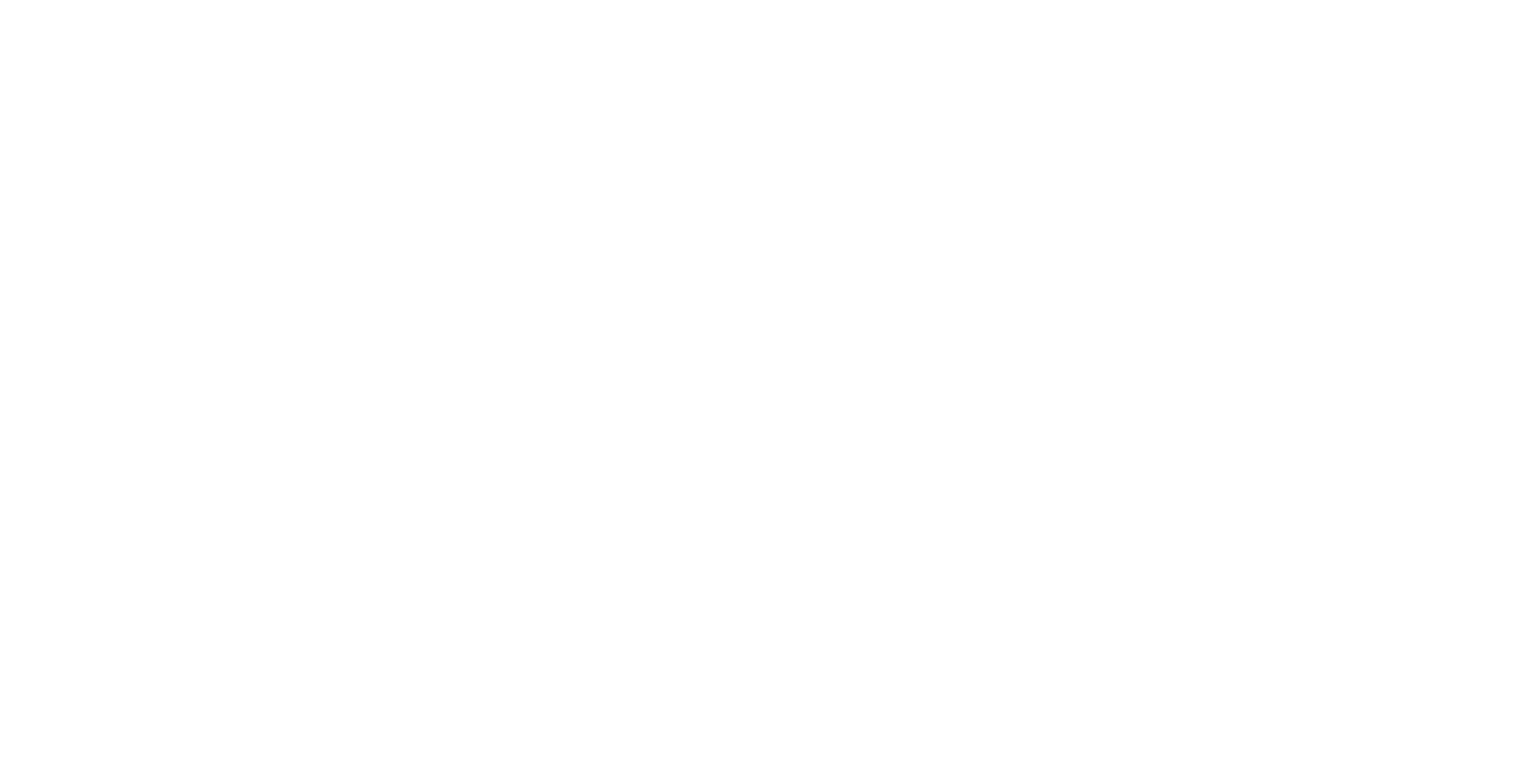 DoucheFLUX